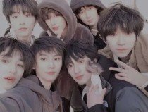 大象影视电脑版